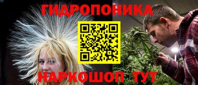 прущие грибы Пугачёв